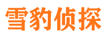 定海外遇出轨调查取证